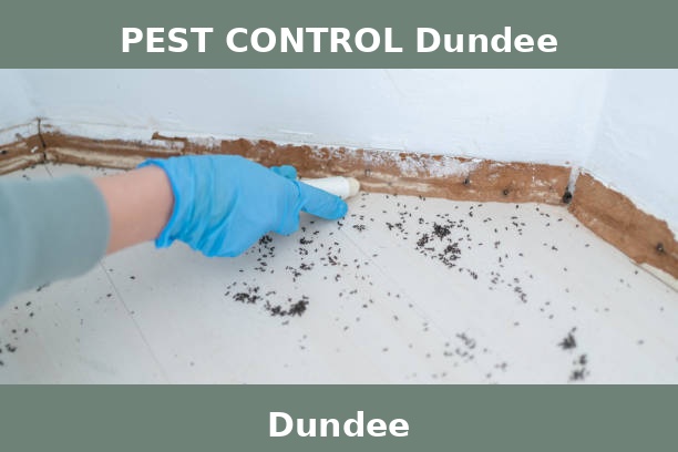 PEST CONTROL Dundee